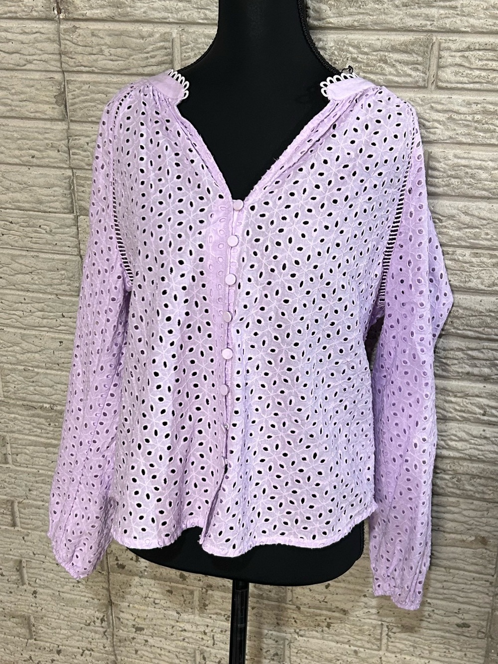 Anthem Lilac Eyelet Botton-Up Top 100% Cotton Sz Small Spring Summer Long Sleeve